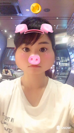 わたしこんなひとです。？の記事動画