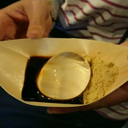 ご褒美 第1弾 ディズニーに行く！の記事動画