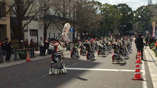 花の慶次のよさこいチーム♪の記事動画
