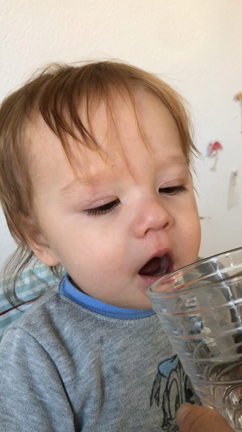 初めての炭酸水の記事動画