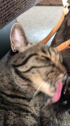 12月の皮膚科外来はショッキング〜！の記事動画