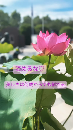 汗と肌と秋のはじまりに想うことの記事動画