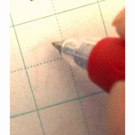 カメムシに出会った秋の記事動画