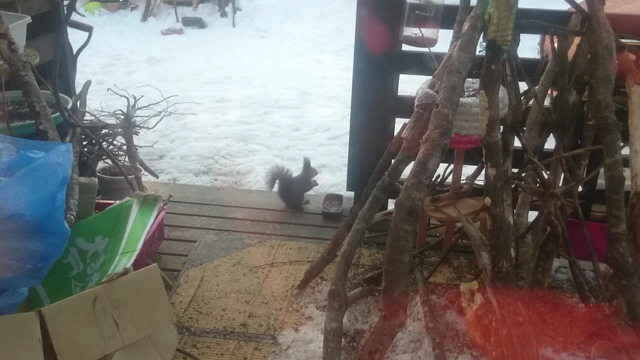 今日も、仕事ネタではありませが(笑)の記事動画