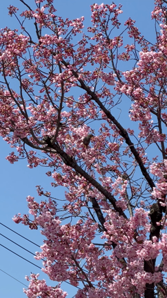 2022/03/24の記事動画