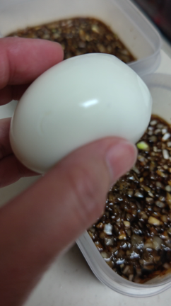 防災作り置き　そろそろ準備しときましょうの記事動画