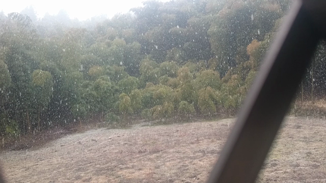 ♡本日はお仕事おやすみさせていただきます♡の記事動画