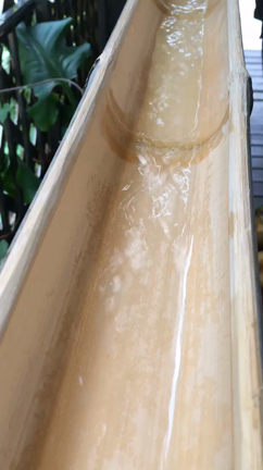 ぎゃははははヽ(｡>▽<｡)ﾉ夏行事？！の記事動画