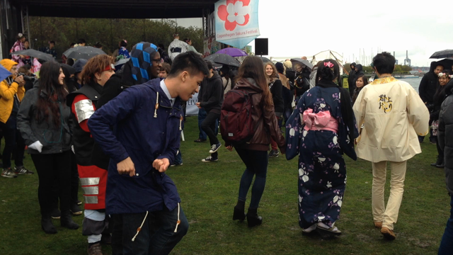 桜フェスティバルの記事動画