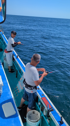 マルイカファイト倶楽部の記事動画