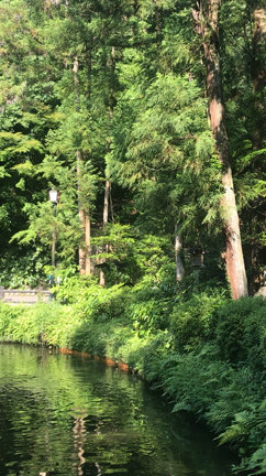 三輪山登拝の記事動画