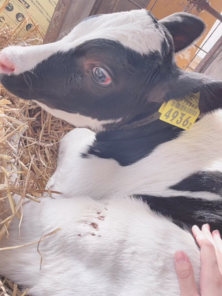 森野さくらさんのプロフィールページ