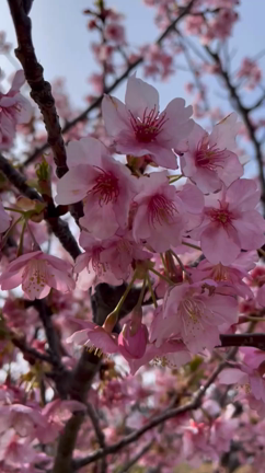積極的な婚活女性大好きの記事動画