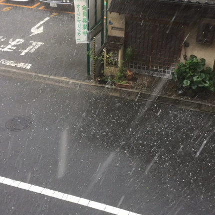 ヒョウだよ雹(°_°)の記事動画