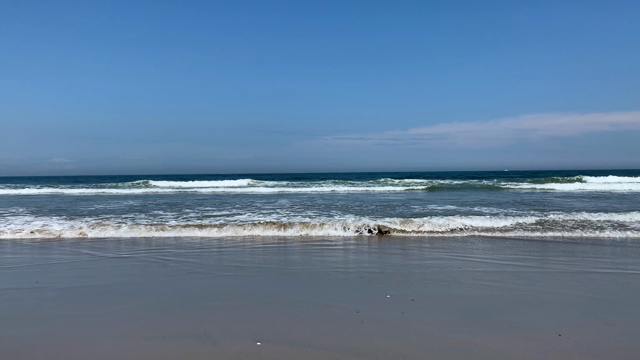 THE HEAD  ・・＃６の記事動画