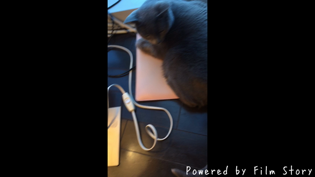 初めての動画の記事動画