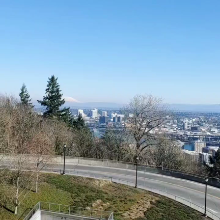 ウクライナ緊急募金の記事動画