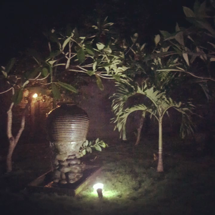 スパ視察の記事動画