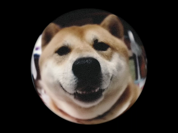 遊ぶ。の記事動画