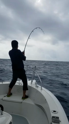 キハダの記事動画