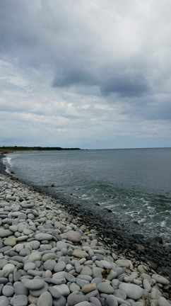 緑な一日☘の記事動画