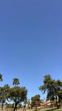 ダブピー・ワールドラン 10Kの記事動画