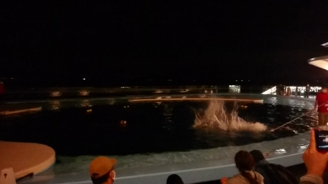 四国水族館(香川県宇多津町)の記事動画