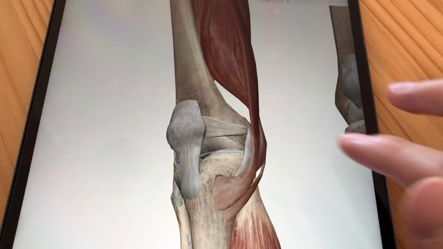 症状説明用のツールをゲット！の記事動画