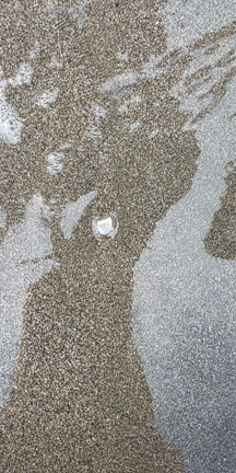 家族で由比ガ浜に行ってきました！　～海に潜る貝＆タンコロ～の記事動画