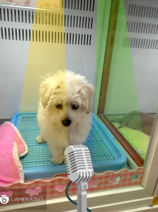 動画祭りです～♪の記事動画