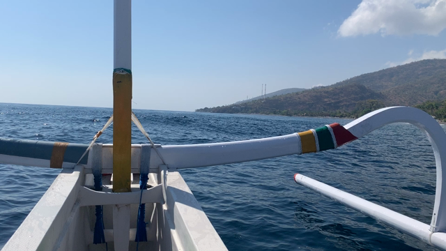 Don’t feel, Think!?の記事動画