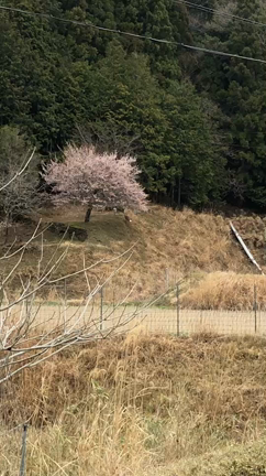 丹波篠山！の記事動画
