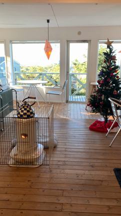 ペンションアトカ、クリスマス始まりました。の記事動画