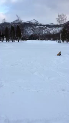 初雪遊びの記事動画