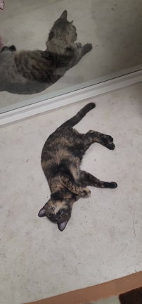 街頭募金の日です～❣️の記事動画