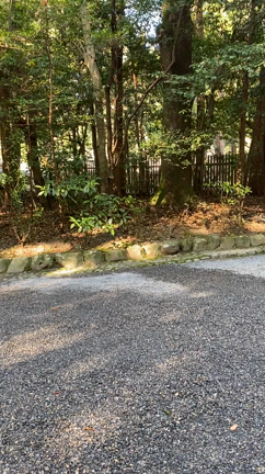 お伊勢参りの記事動画