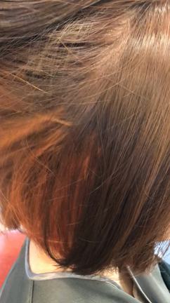 最近のオーダーの記事動画