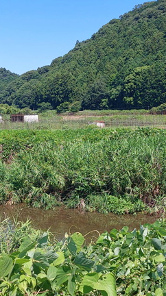 来週のananとロケ地巡り✨の記事動画