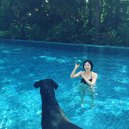 わんこふとプール！の記事動画