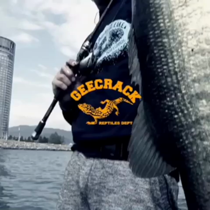 スパイロン3.8動画公開しました。の記事動画