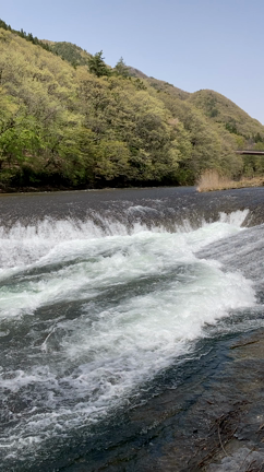 北池袋スナック【山崎】6月緊急事態宣言明けから営業します!の記事動画