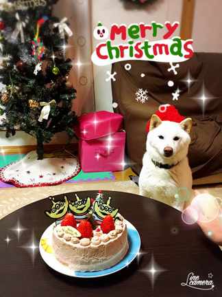 クリスマスパーティー☆の記事動画