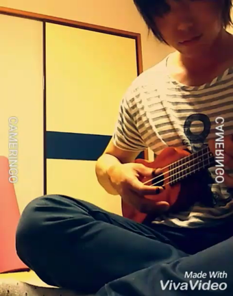 食わず嫌いの記事動画