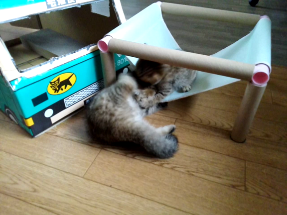 一晩明けての記事動画