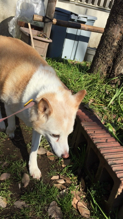 横浜なう(*^_^*)の記事動画