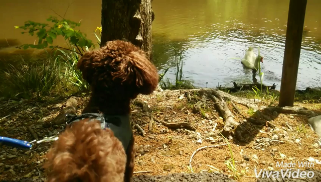 遭遇。の記事動画