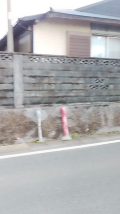 あけおめ❗<(￣︶￣)↗の記事動画