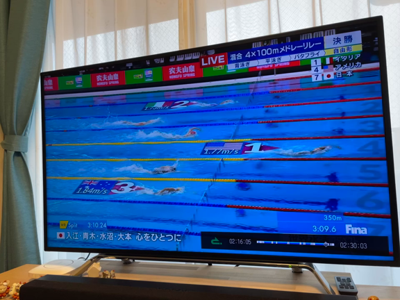 せかいすいえい♪の記事動画