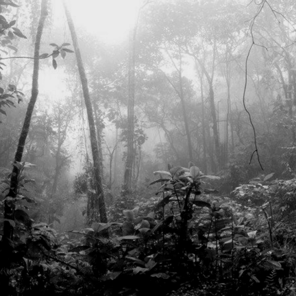 使い捨てマスクより、使える体質改善を！の記事動画