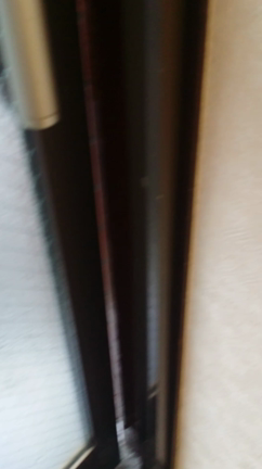 地球は怒っていた!!!の記事動画